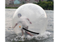 Kleurrijke Opblaasbare Waterbal, Drijvende Opblaasbare Hamsterbal voor Mensen leverancier